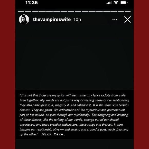 The Vampire’s Wife x H&M. Rhinestone-embellished - Picture 4 of 5